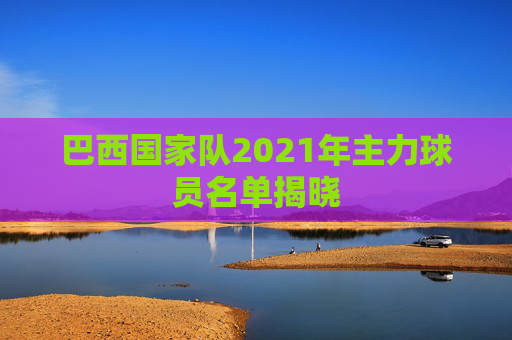 巴西国家队2021年主力球员名单揭晓