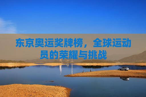 东京奥运奖牌榜，全球运动员的荣耀与挑战