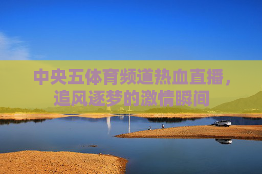 中央五体育频道热血直播，追风逐梦的激情瞬间