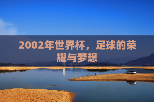 2002年世界杯,足球的荣耀与梦想 2002年世界杯,足球的荣耀与梦想