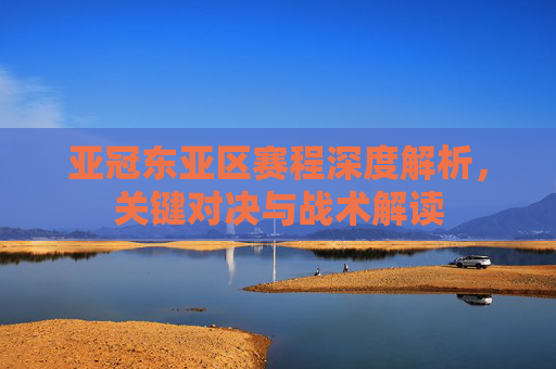 亚冠东亚区赛程深度解析，关键对决与战术解读