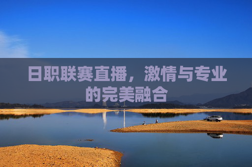 日职联赛直播，激情与专业的完美融合