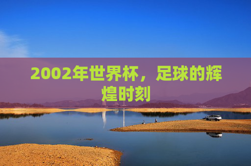 2002年世界杯,足球的辉煌时刻 2002年世界杯,足球的辉煌时刻