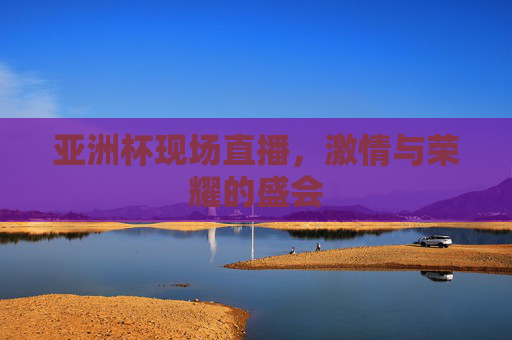 亚洲杯现场直播，激情与荣耀的盛会