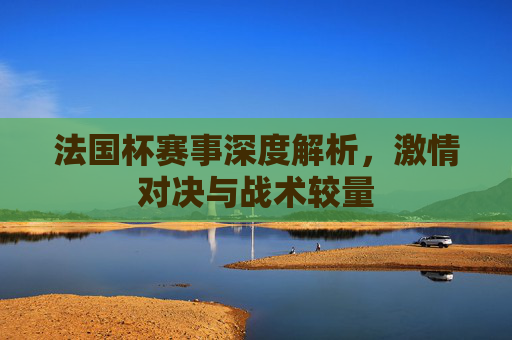 法国杯赛事深度解析，激情对决与战术较量