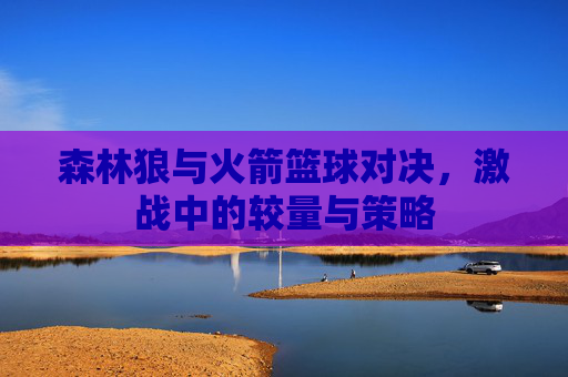 森林狼与火箭篮球对决，激战中的较量与策略