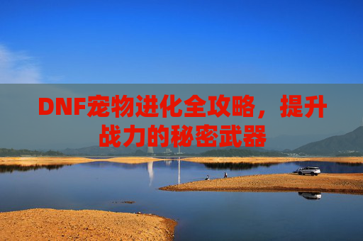 DNF宠物进化全攻略，提升战力的秘密武器