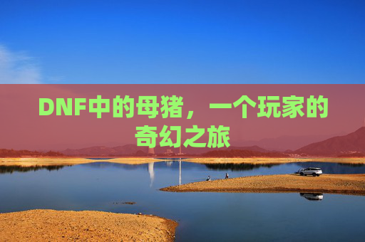 DNF中的母猪，一个玩家的奇幻之旅