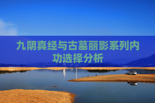 九阴真经与古墓丽影系列内功选择分析