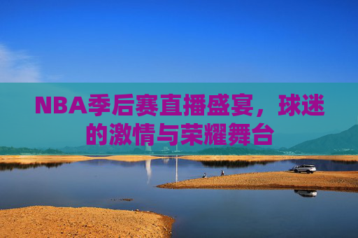 NBA季后赛直播盛宴，球迷的激情与荣耀舞台