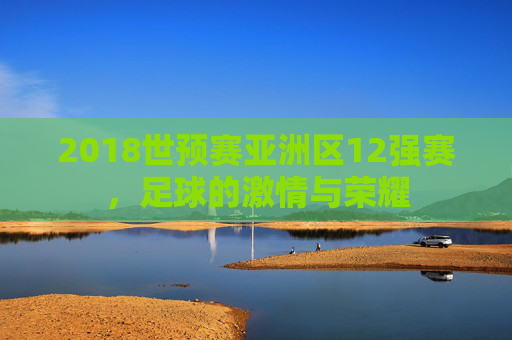 2018世预赛亚洲区12强赛，足球的激情与荣耀