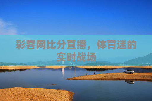 彩客网比分直播，体育迷的实时战场