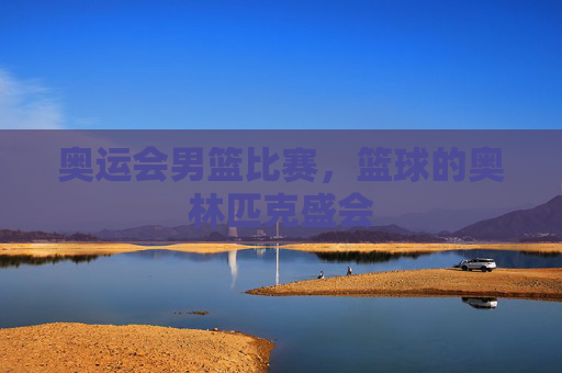 奥运会男篮比赛，篮球的奥林匹克盛会