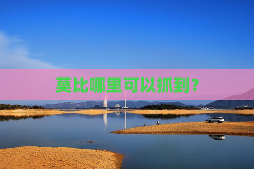 莫比哪里可以抓到？