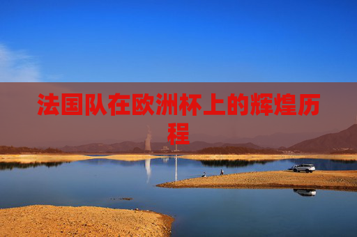 法国队在欧洲杯上的辉煌历程
