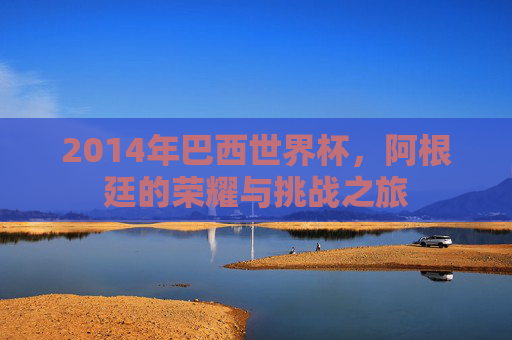 2014年巴西世界杯，阿根廷的荣耀与挑战之旅
