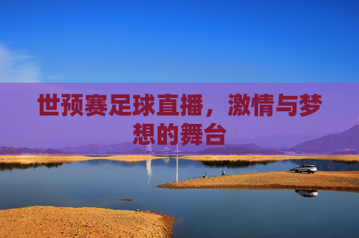 世预赛足球直播，激情与梦想的舞台