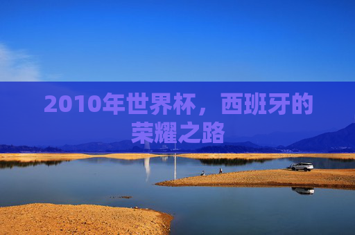 2010年世界杯，西班牙的荣耀之路