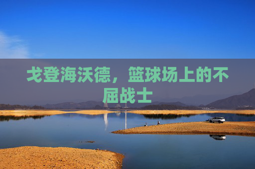 戈登海沃德,篮球场上的不屈战士 戈登海沃德,篮球场上的不屈战士