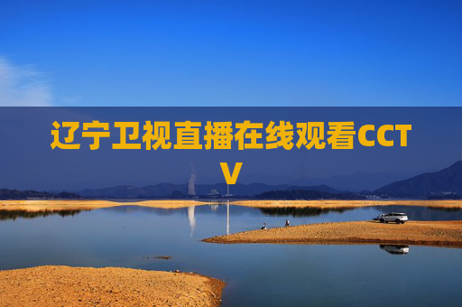 辽宁卫视直播在线观看CCTV