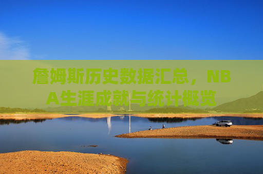 詹姆斯历史数据汇总，NBA生涯成就与统计概览