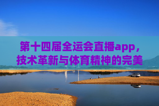 第十四届全运会直播app，技术革新与体育精神的完美融合