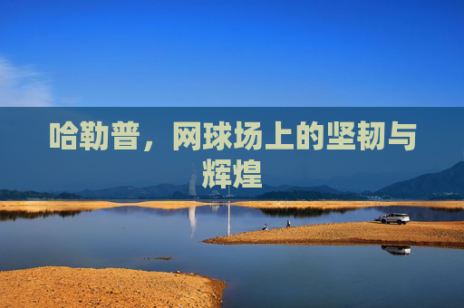 哈勒普,网球场上的坚韧与辉煌 哈勒普,网球场上的坚韧与辉煌