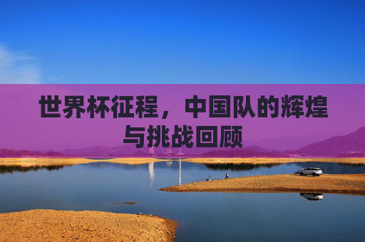 世界杯征程，中国队的辉煌与挑战回顾