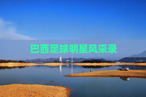 巴西足球明星风采录 巴西足球明星风采录