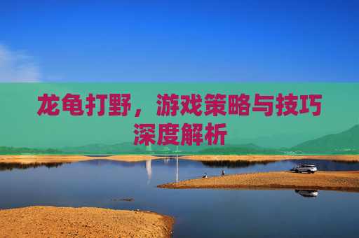 龙龟打野，游戏策略与技巧深度解析