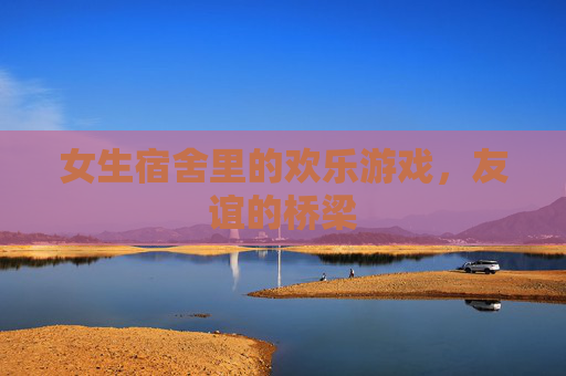 女生宿舍里的欢乐游戏，友谊的桥梁