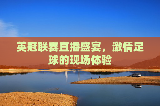英冠联赛直播盛宴，激情足球的现场体验