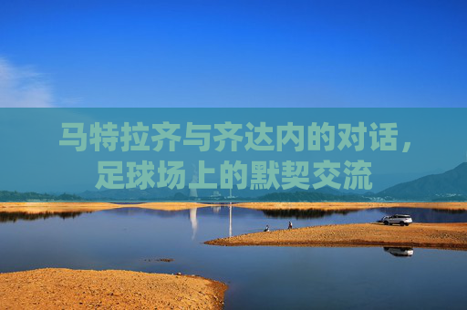 马特拉齐与齐达内的对话,足球场上的默契交流 马特拉齐与齐达内的对话,足球场上的默契交流