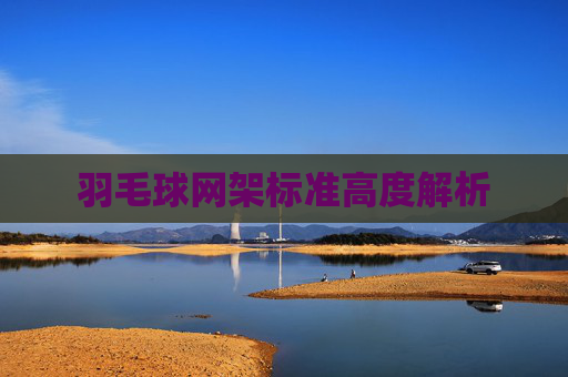 羽毛球网架标准高度解析