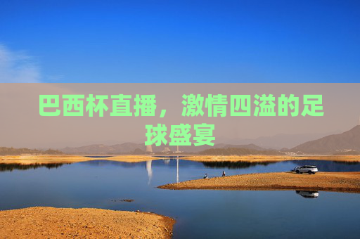 巴西杯直播,激情四溢的足球盛宴 巴西杯直播,激情四溢的足球盛宴