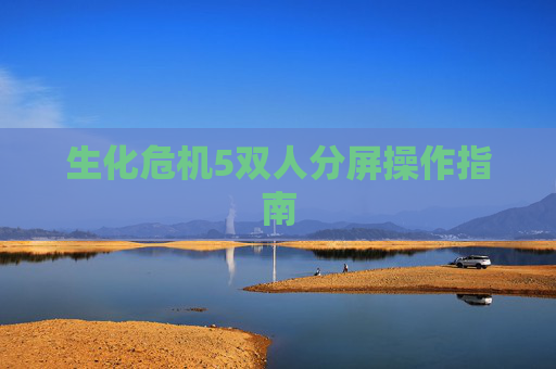 生化危机5双人分屏操作指南