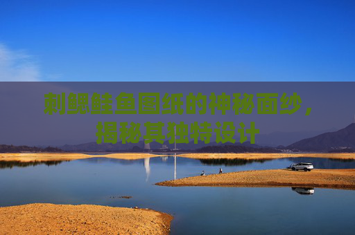 刺鳃鲑鱼图纸的神秘面纱，揭秘其独特设计