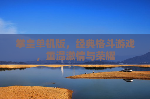 拳皇单机版，经典格斗游戏，重温激情与荣耀