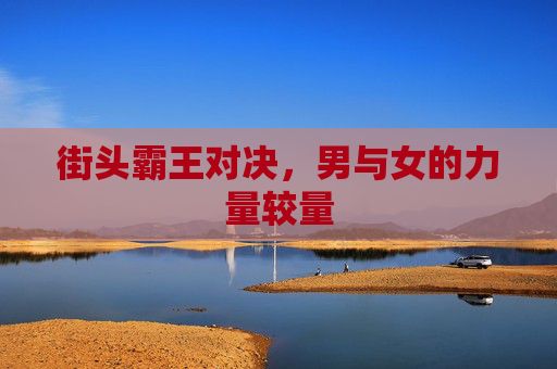 街头霸王对决，男与女的力量较量