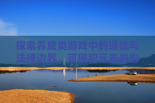 探索养成类游戏中的道德与法律边界，可侵犯元素的影响