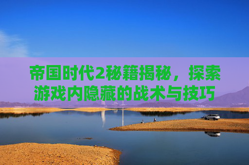 帝国时代2秘籍揭秘，探索游戏内隐藏的战术与技巧