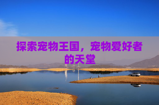 探索宠物王国，宠物爱好者的天堂