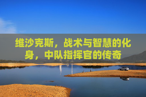 维沙克斯，战术与智慧的化身，中队指挥官的传奇