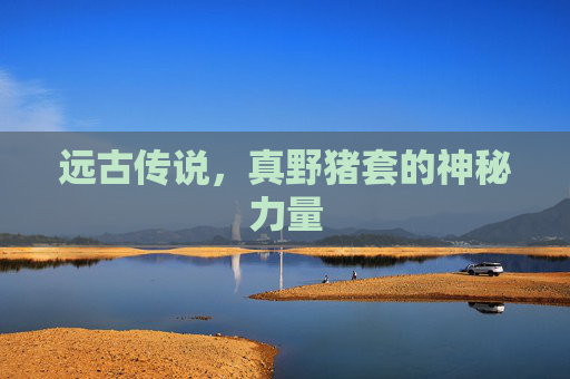 远古传说，真野猪套的神秘力量
