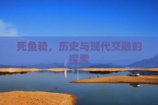 死鱼骑，历史与现代交融的探索