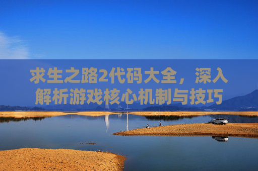 求生之路2代码大全，深入解析游戏核心机制与技巧