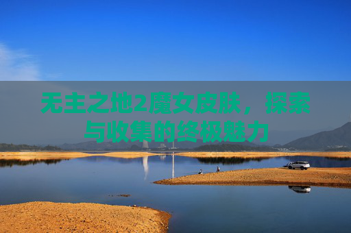 无主之地2魔女皮肤，探索与收集的终极魅力