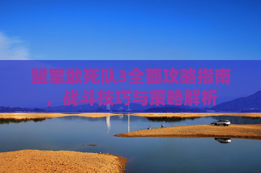 盟军敢死队3全面攻略指南，战斗技巧与策略解析