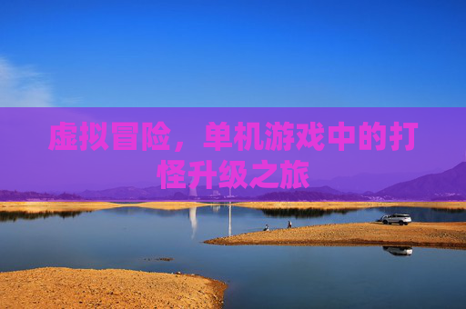 虚拟冒险，单机游戏中的打怪升级之旅