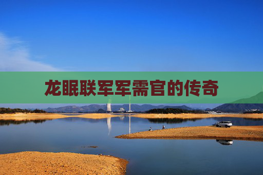 龙眠联军军需官的传奇
